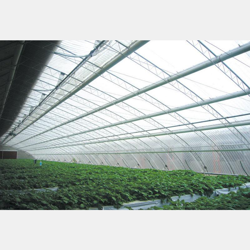 專業(yè)構(gòu)筑，智慧生長 盛騰溫室引領(lǐng)蔬菜大棚現(xiàn)代化建造新風(fēng)尚