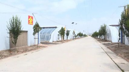 科技賦能，高效發(fā)展 本市現(xiàn)代農(nóng)業(yè)溫室建設(shè)穩(wěn)步推進(jìn)