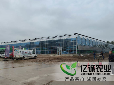 科技賦能農業(yè)新篇章 探秘陜西西安巨坤花卉智能玻璃溫室