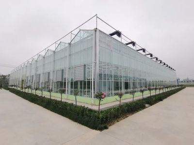 豐縣智慧農(nóng)業(yè)新篇章 空中瓜果背后的高科技大棚設(shè)計(jì)