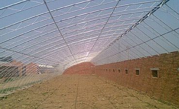 花卉溫室大棚的現(xiàn)代化優(yōu)勢(shì) 從基礎(chǔ)建設(shè)到專業(yè)園藝服務(wù)