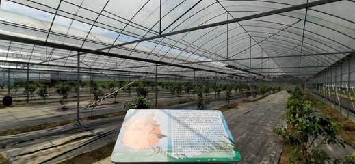 南昌農業四大特色產業三年騰飛 大棚材料與配套設施設計的創新引擎