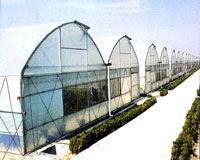 陜西溫室銷售 622連體大棚、7430連棟溫室等產品信息詳解與大棚材料配套設施設計