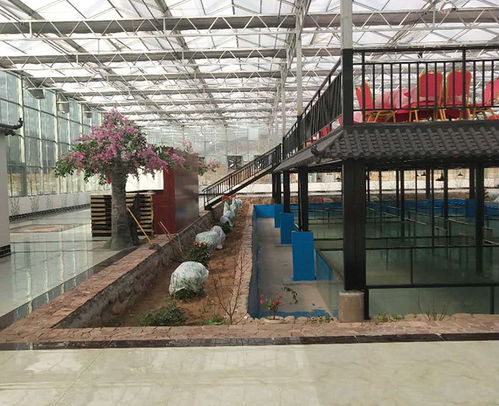 日光溫室大棚今日報價與濮陽智博農業科技的專業解決方案