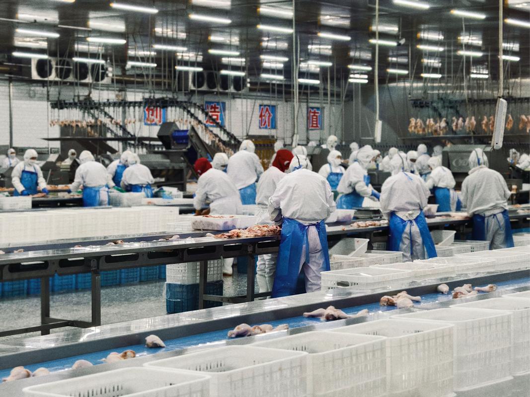 來自臺灣大成 食品集中加工的典范與現(xiàn)代啟示