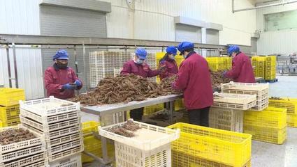 隴西:復工復產(chǎn)春意濃